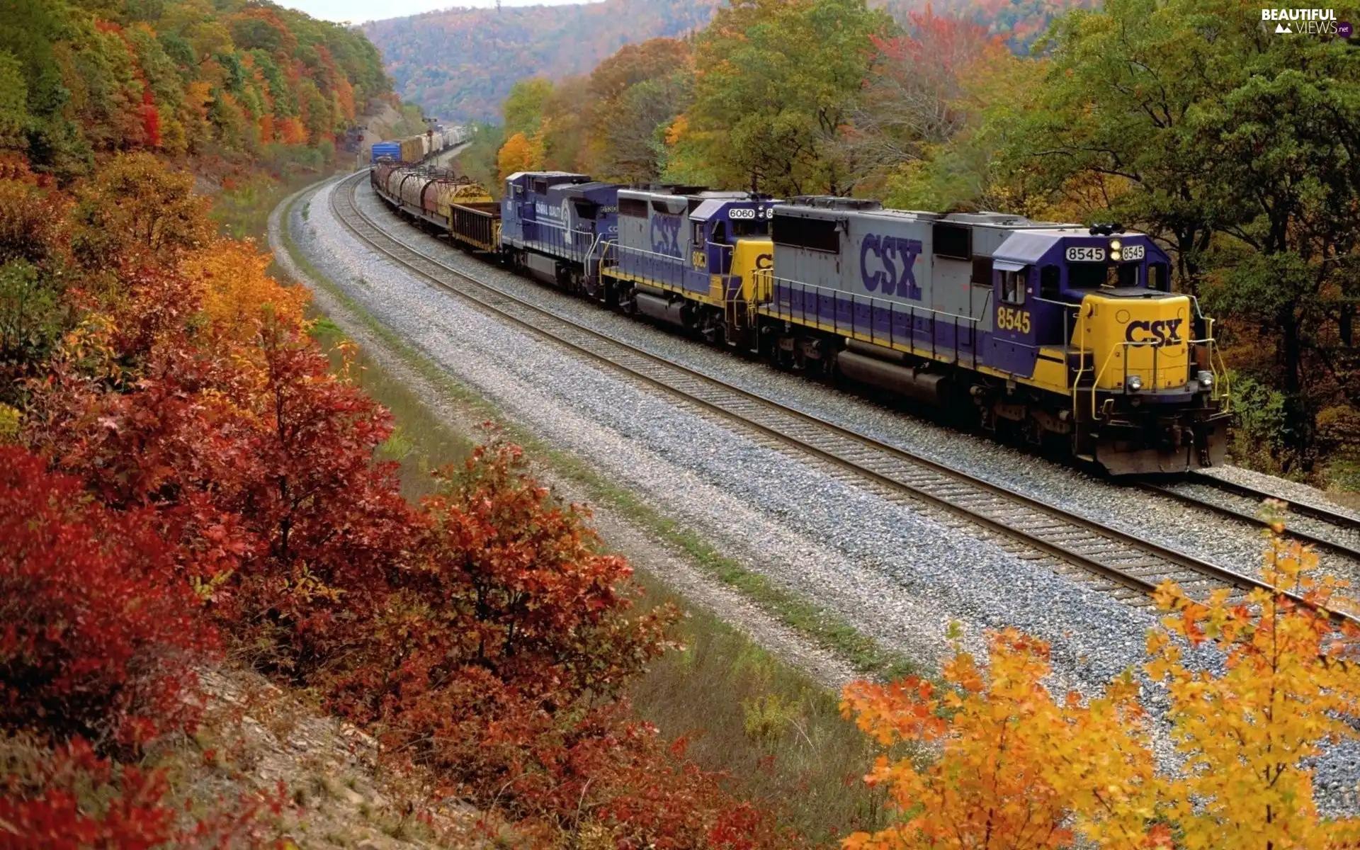 viewes, autumn, ##, trees, Train