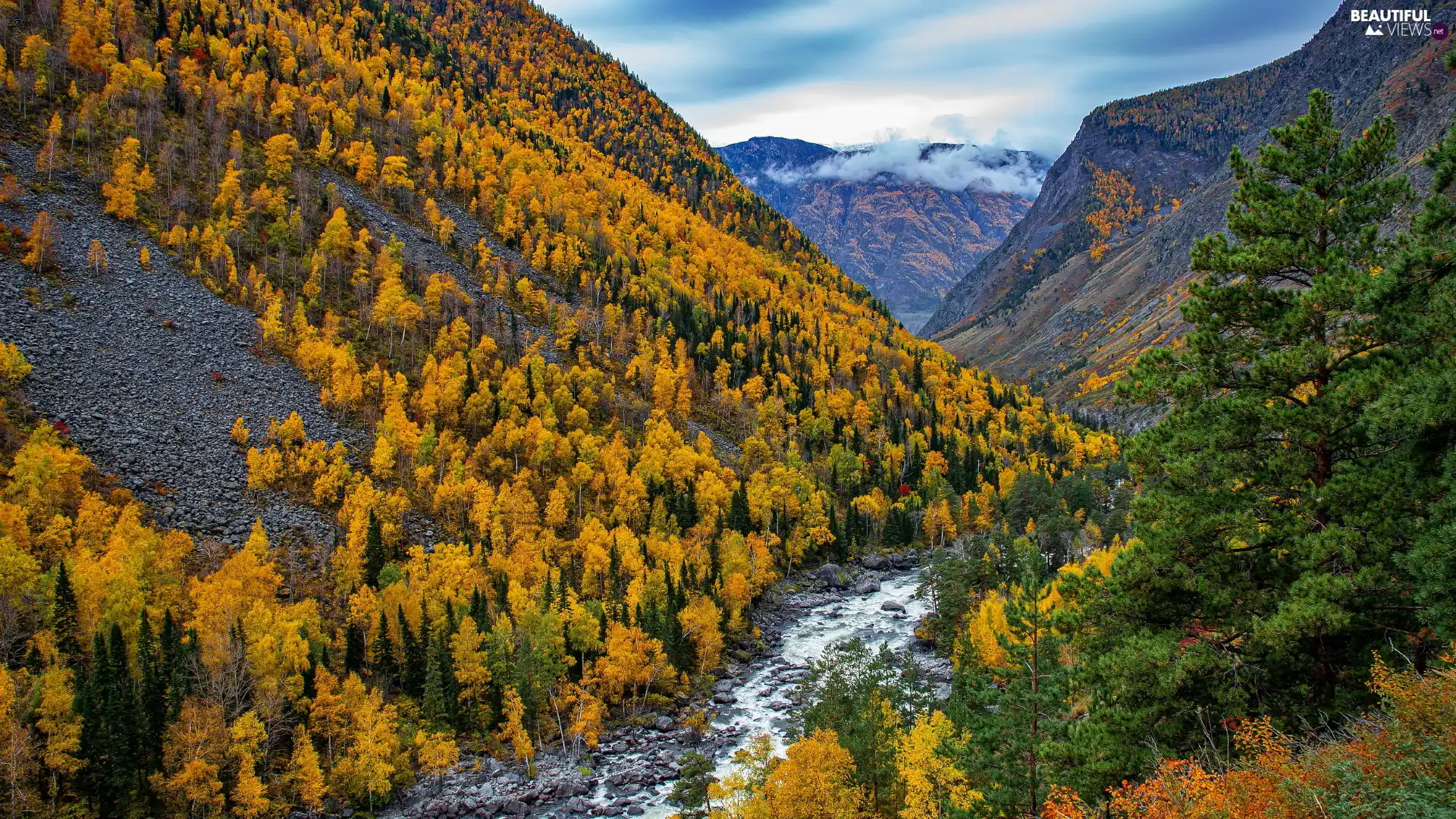 viewes, canyon, woods, Altai, Autumn, Mountains, River, Russia, autumn, trees