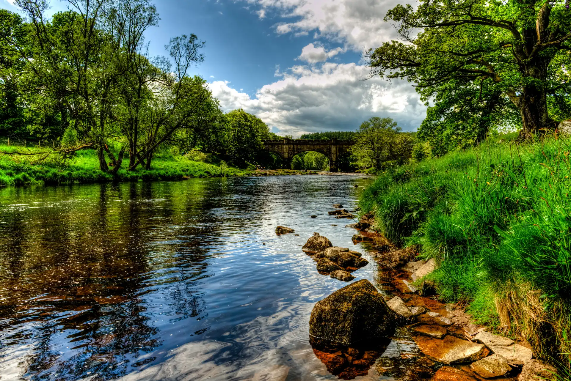 viewes, bridge, Stones, trees, River