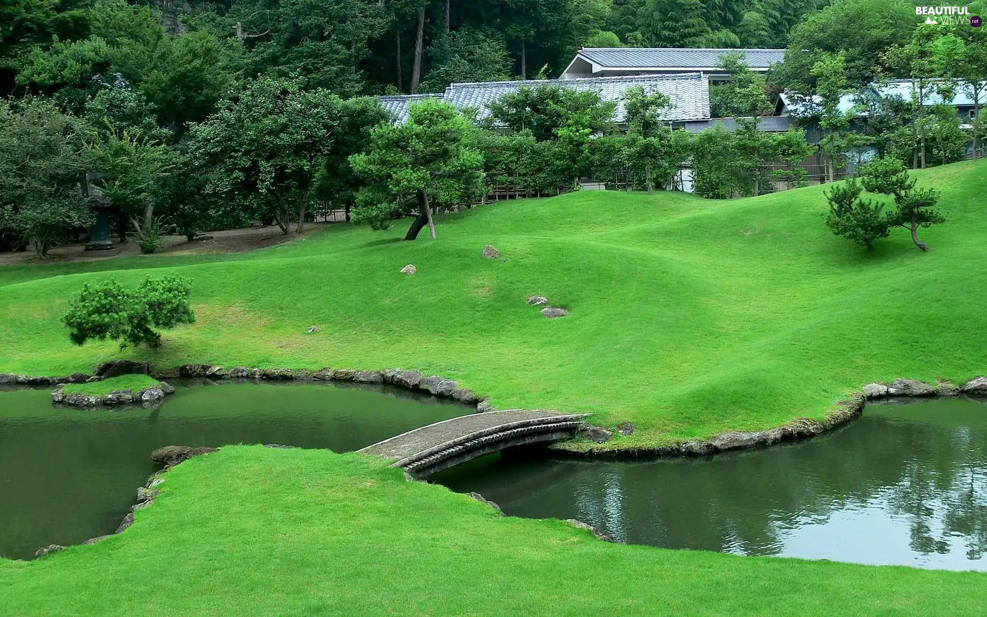 brook, trees, viewes, lawns