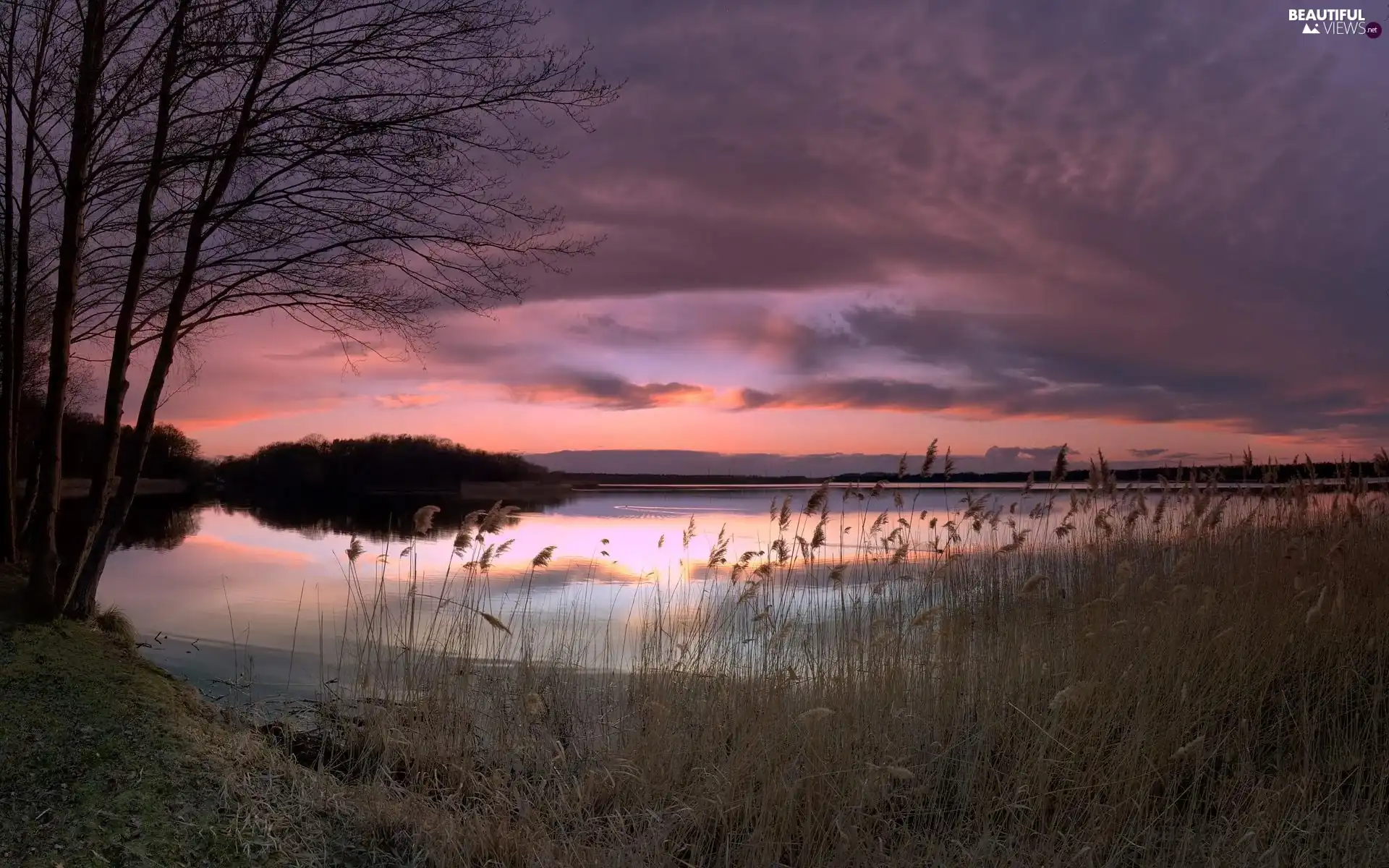 viewes, clouds, grass, trees, lake