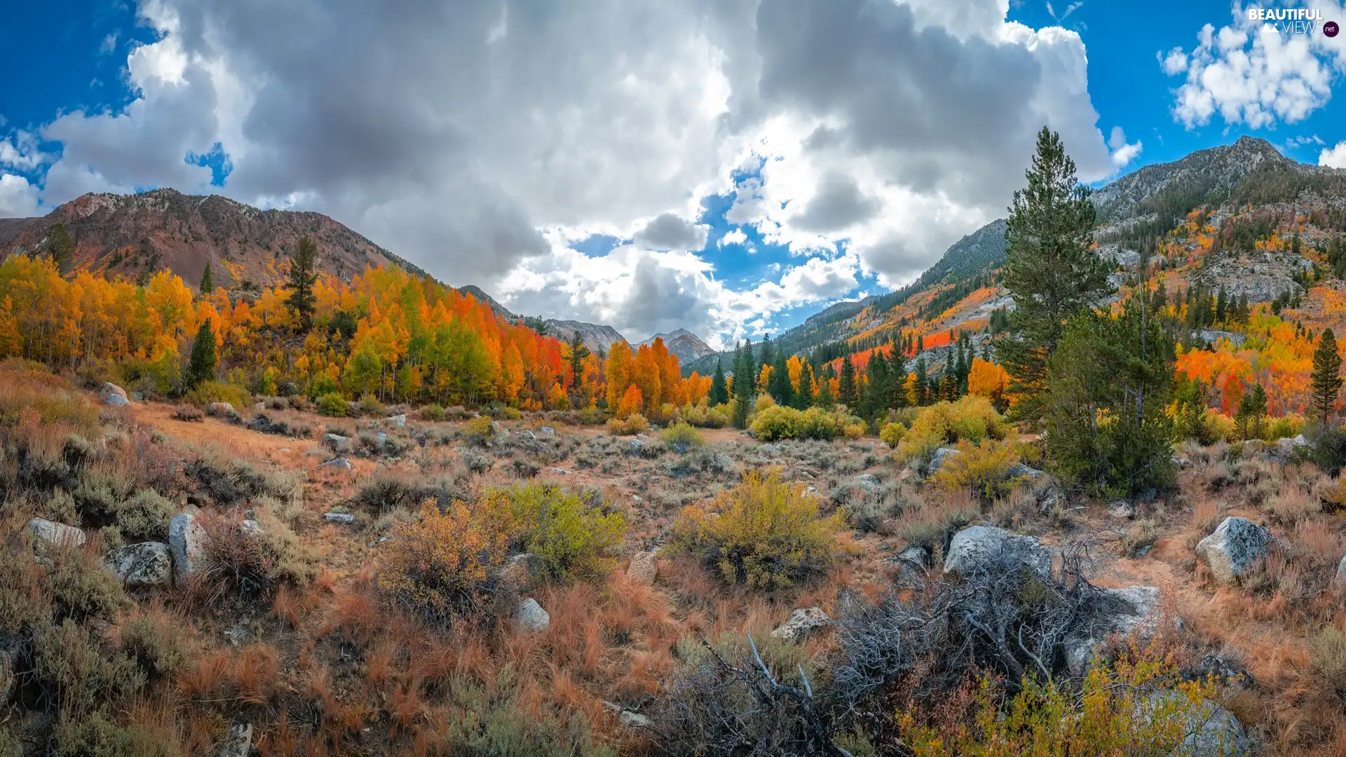 Bush, trees, clouds, viewes, Mountains, Stones, autumn