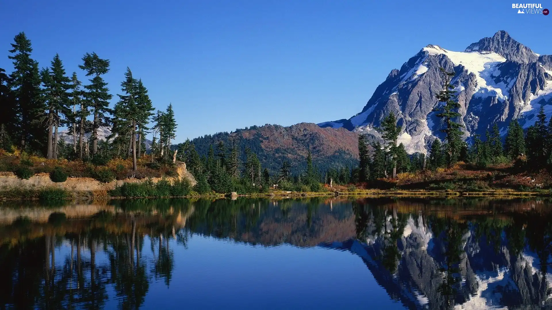 Mountains, lake, viewes, Conifers, trees, Snowy