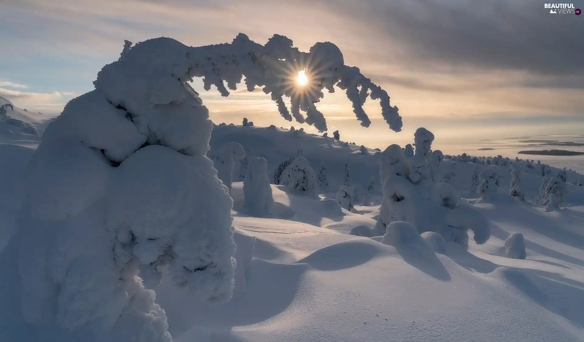 viewes, winter, rays of the Sun, drifts, snow, trees