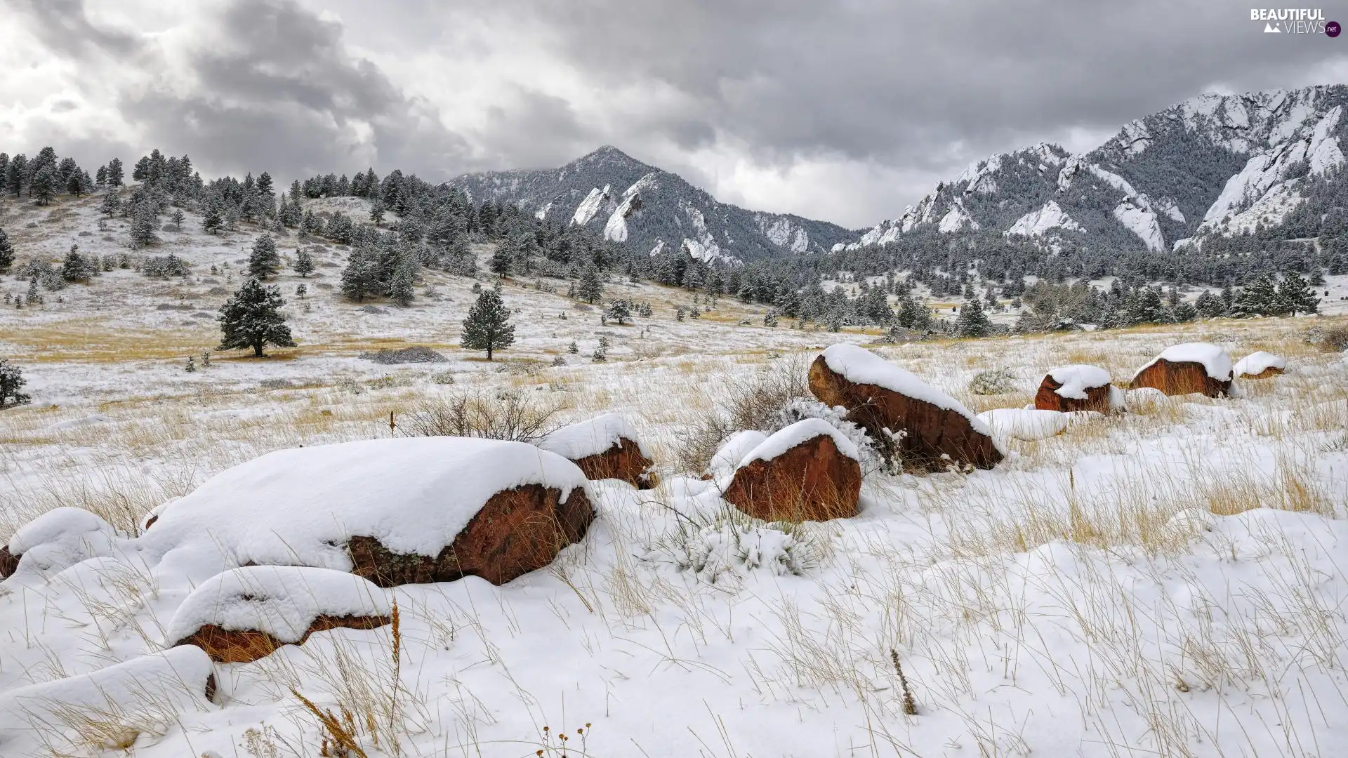 snow, Mountains, viewes, drifts, trees, height