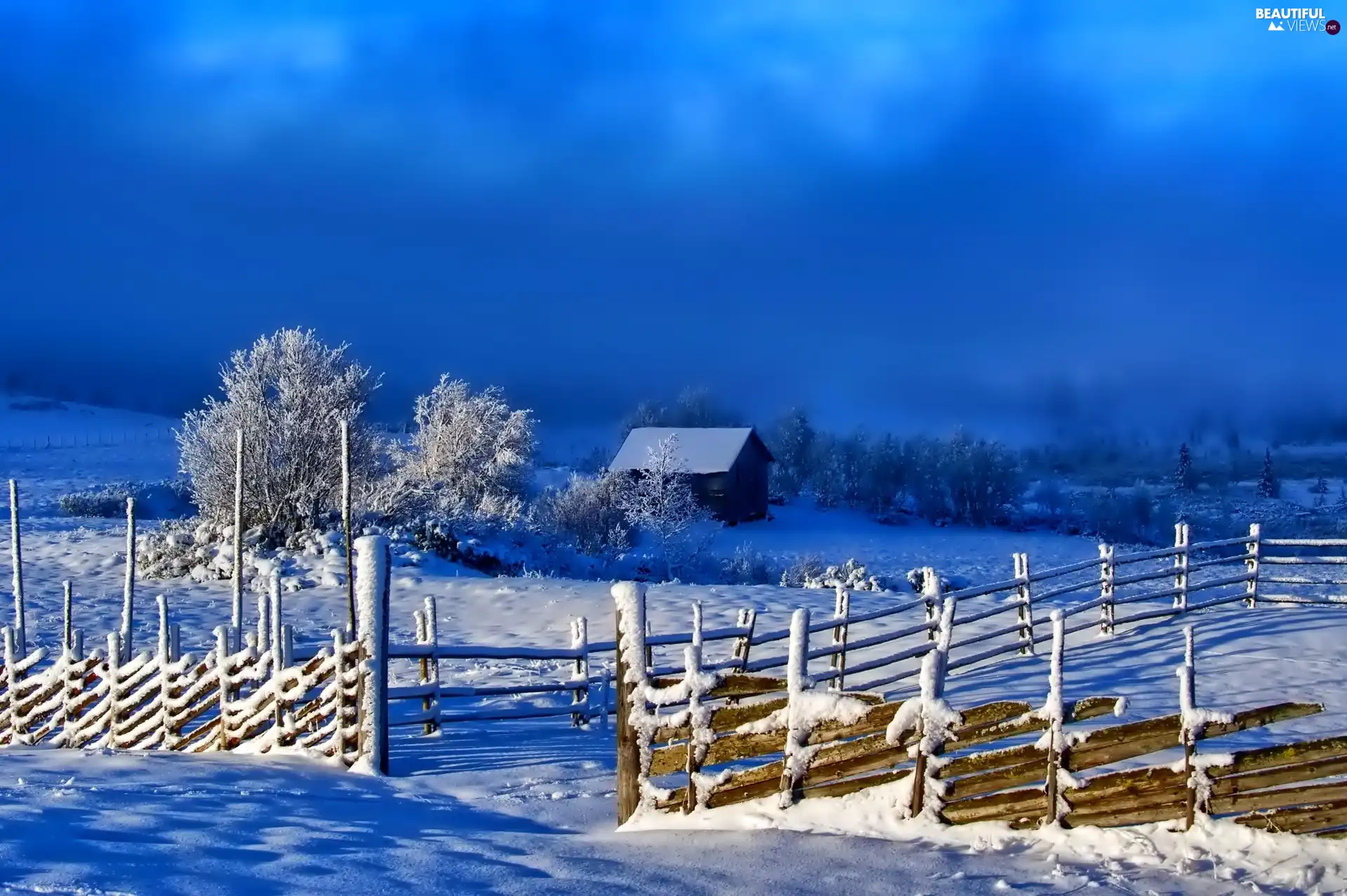 viewes, Fance, house, trees, winter