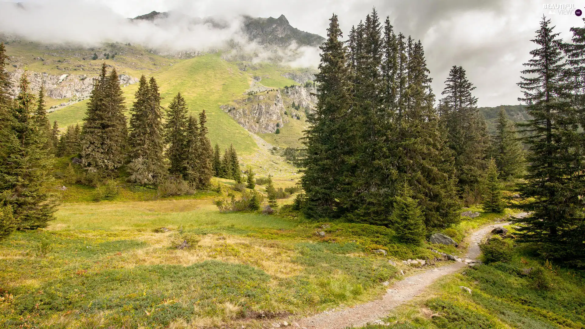 trees, viewes, Fog, Path, Mountains