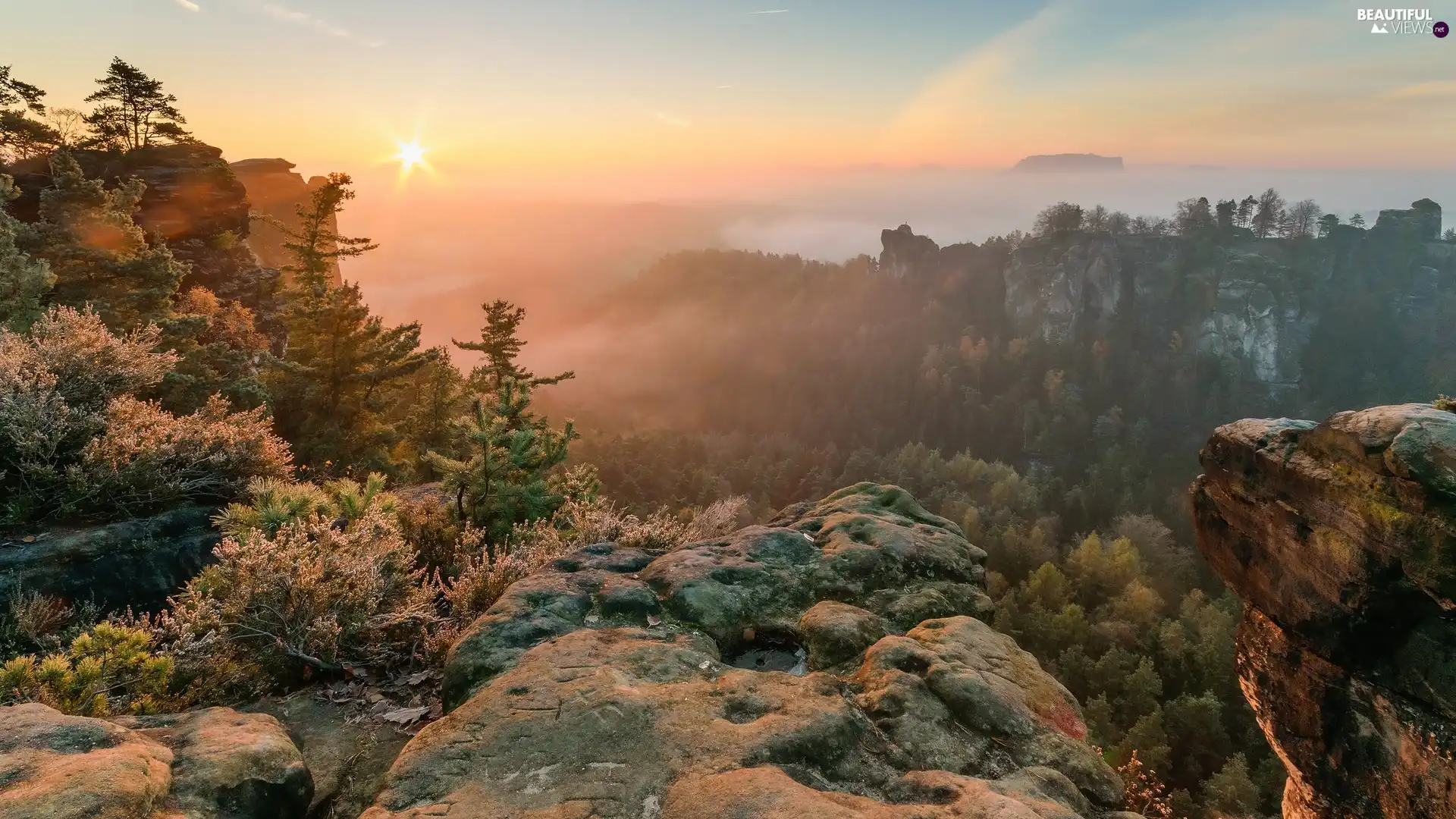 Mountains, Sunrise, trees, viewes, rocks, Fog