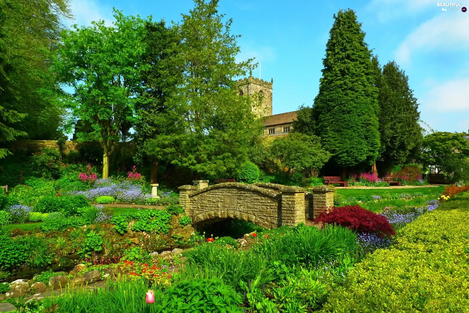 Garden, trees, viewes, bridges