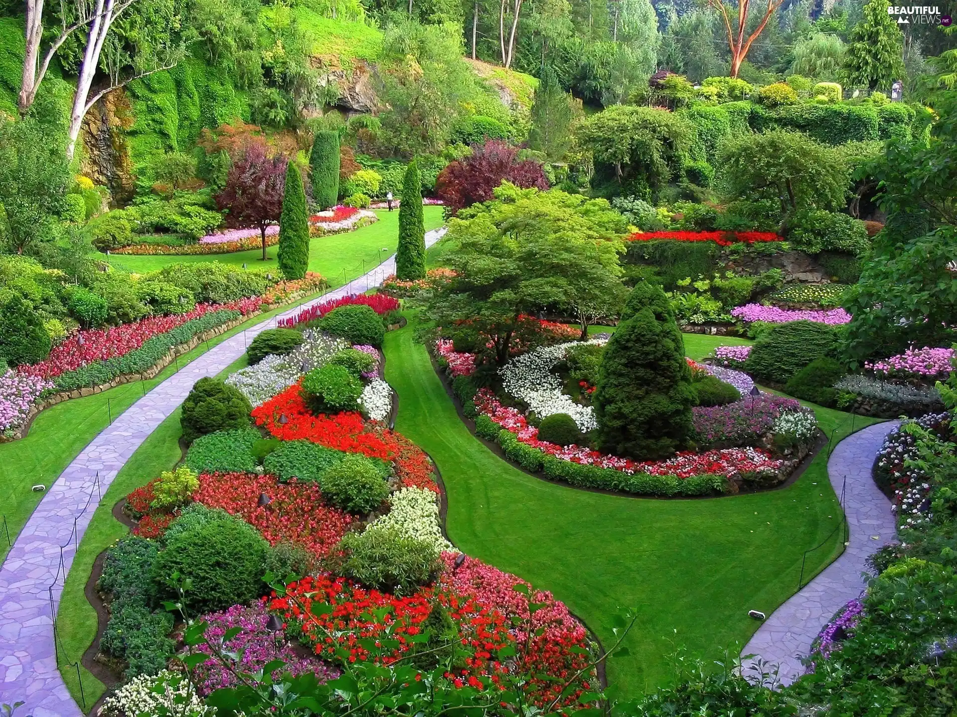 Flowers, Park, viewes, grass, trees, Gardens