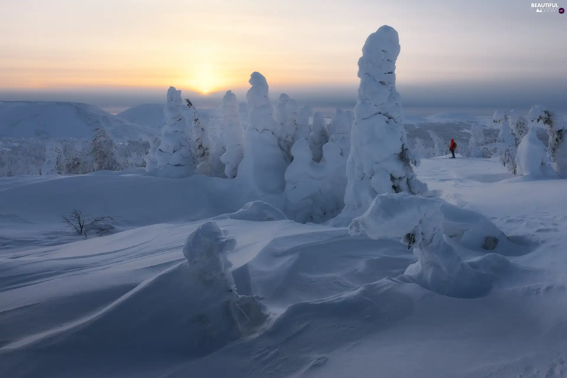 winter, Sunrise, trees, viewes, The Hills