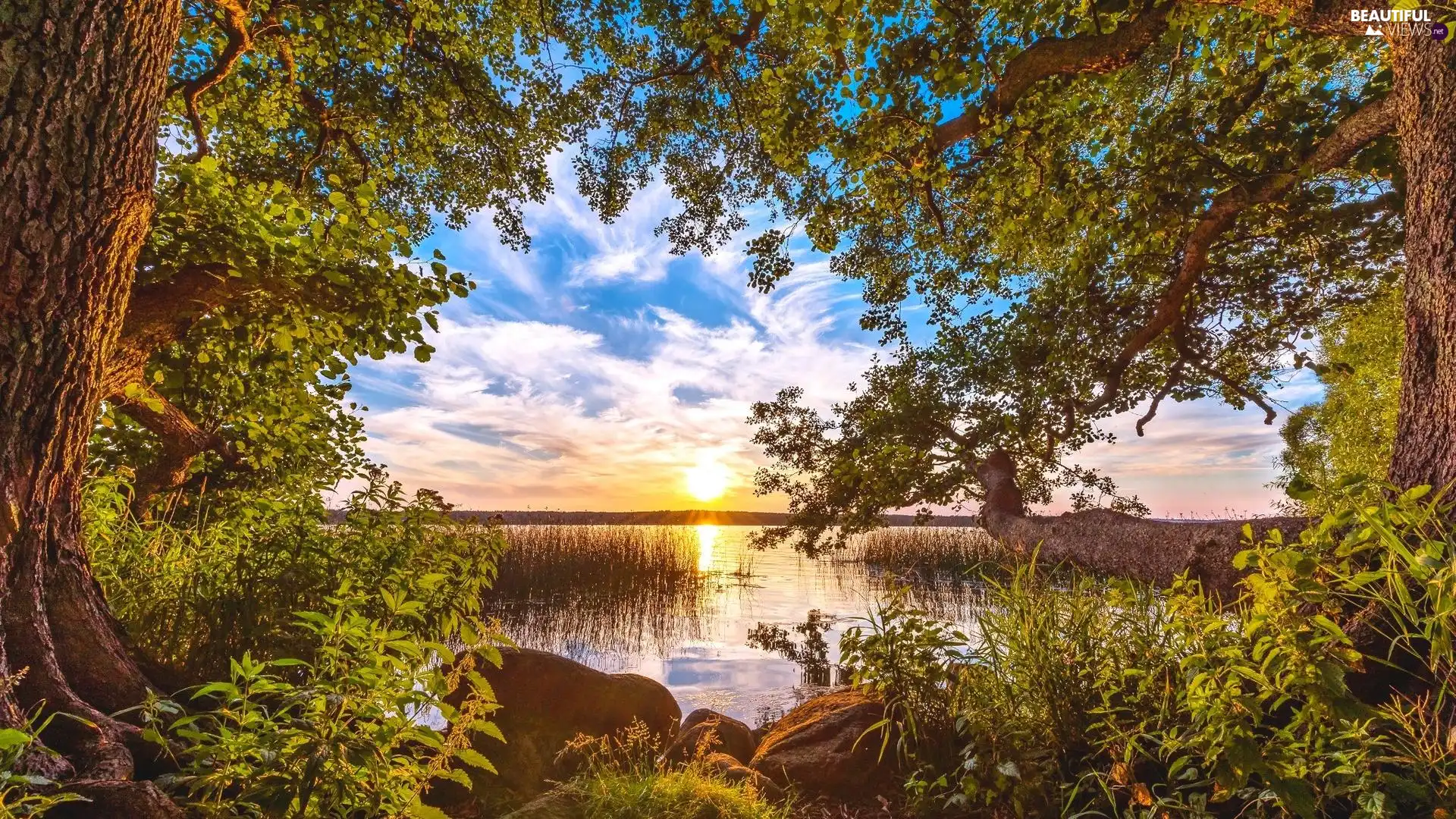 viewes, trees, Plants, Stones, clouds, sun, lake, Sky, rushes