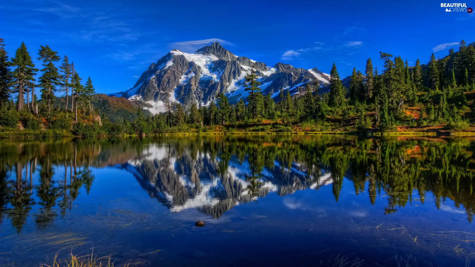 lake, trees, viewes, reflection