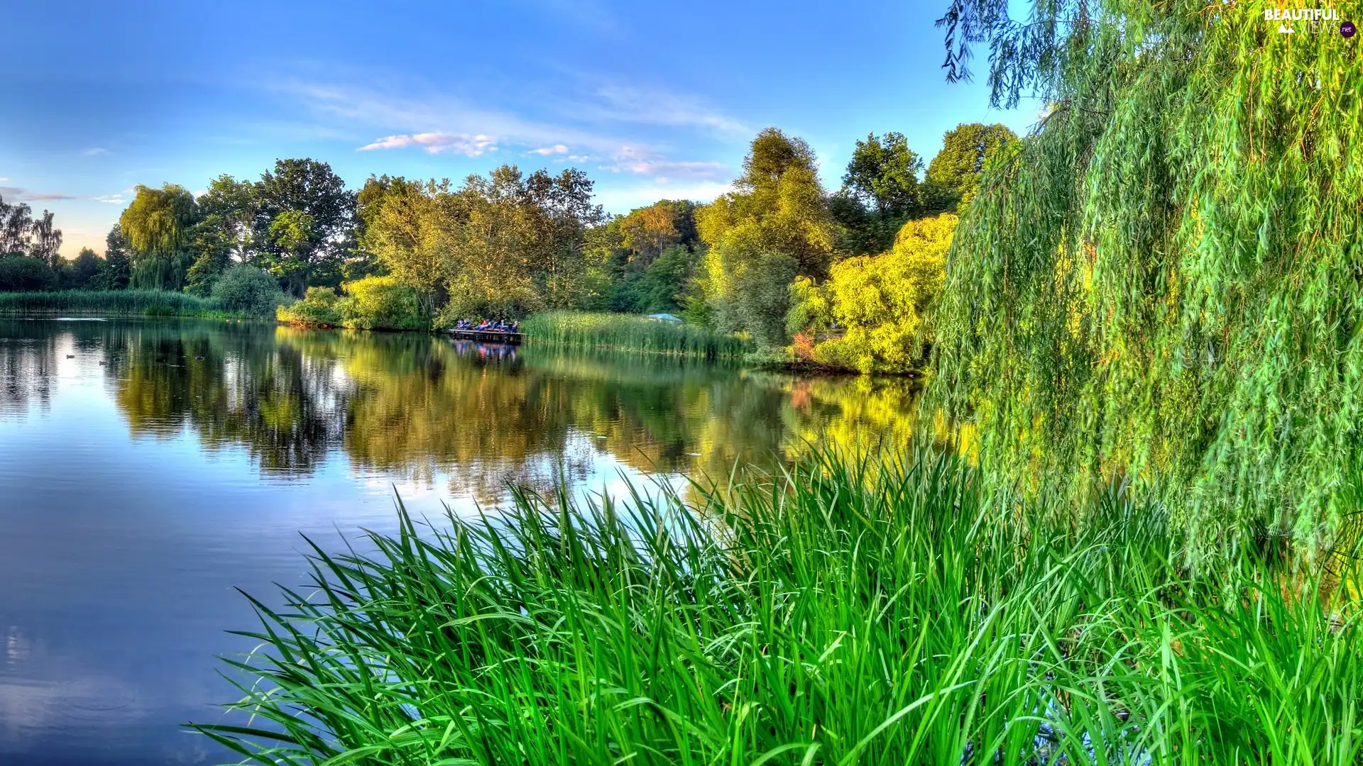 lake, trees, viewes, scrub