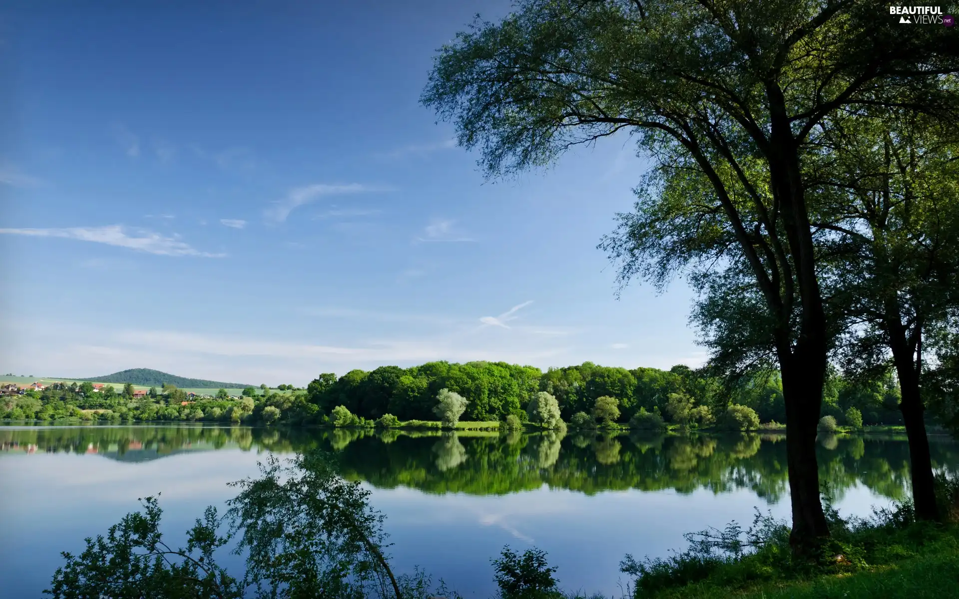 lake, trees, viewes, woods