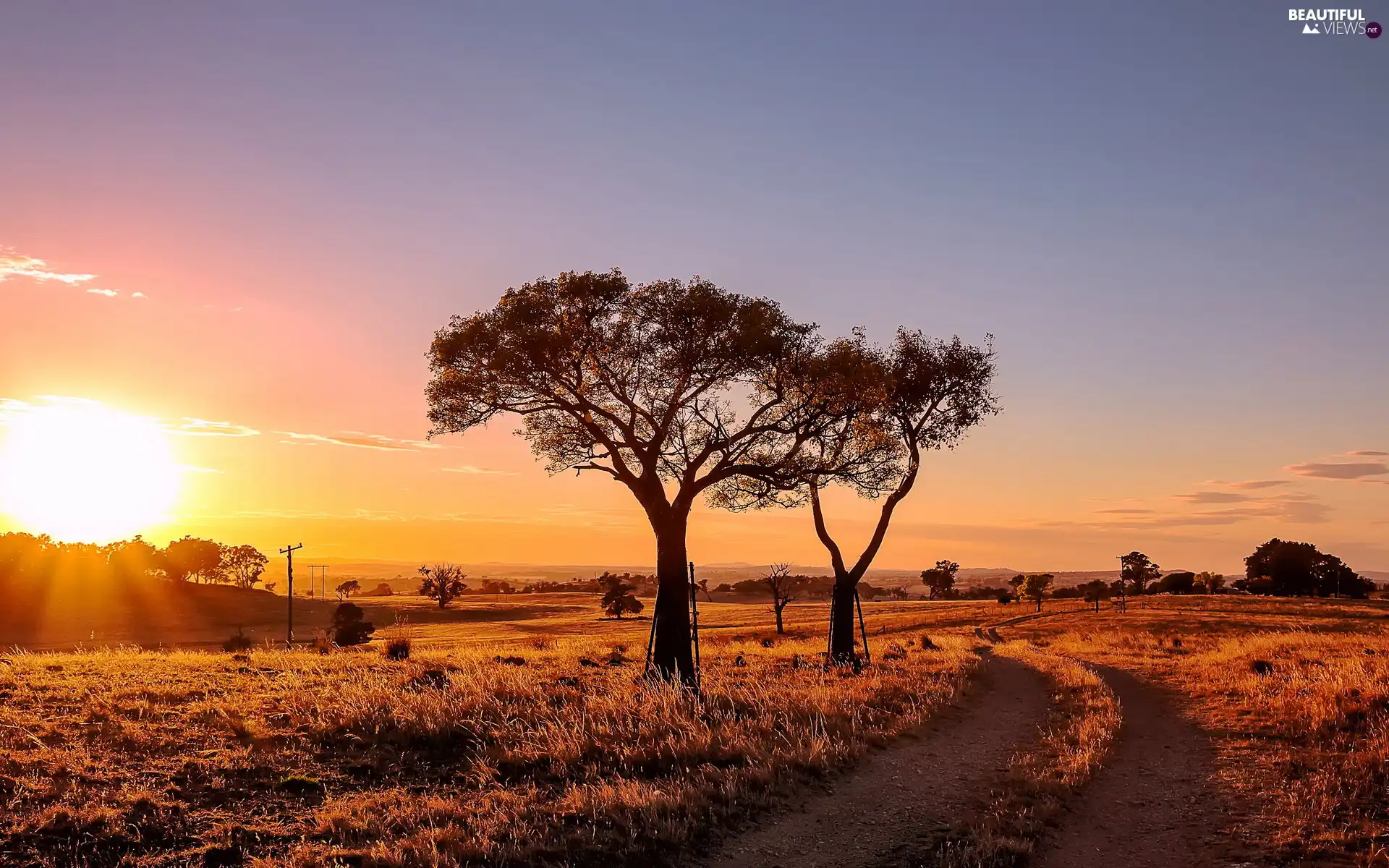 viewes, medows, sun, trees, west