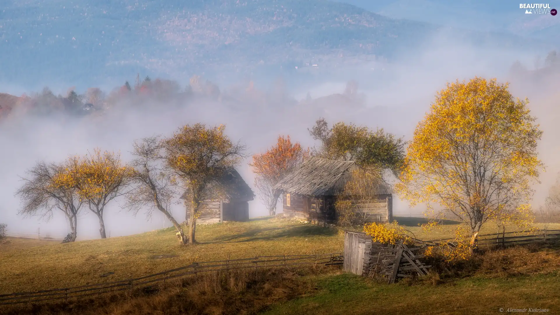 wood, Houses, Mountains, trees, Fog, country, autumn, viewes