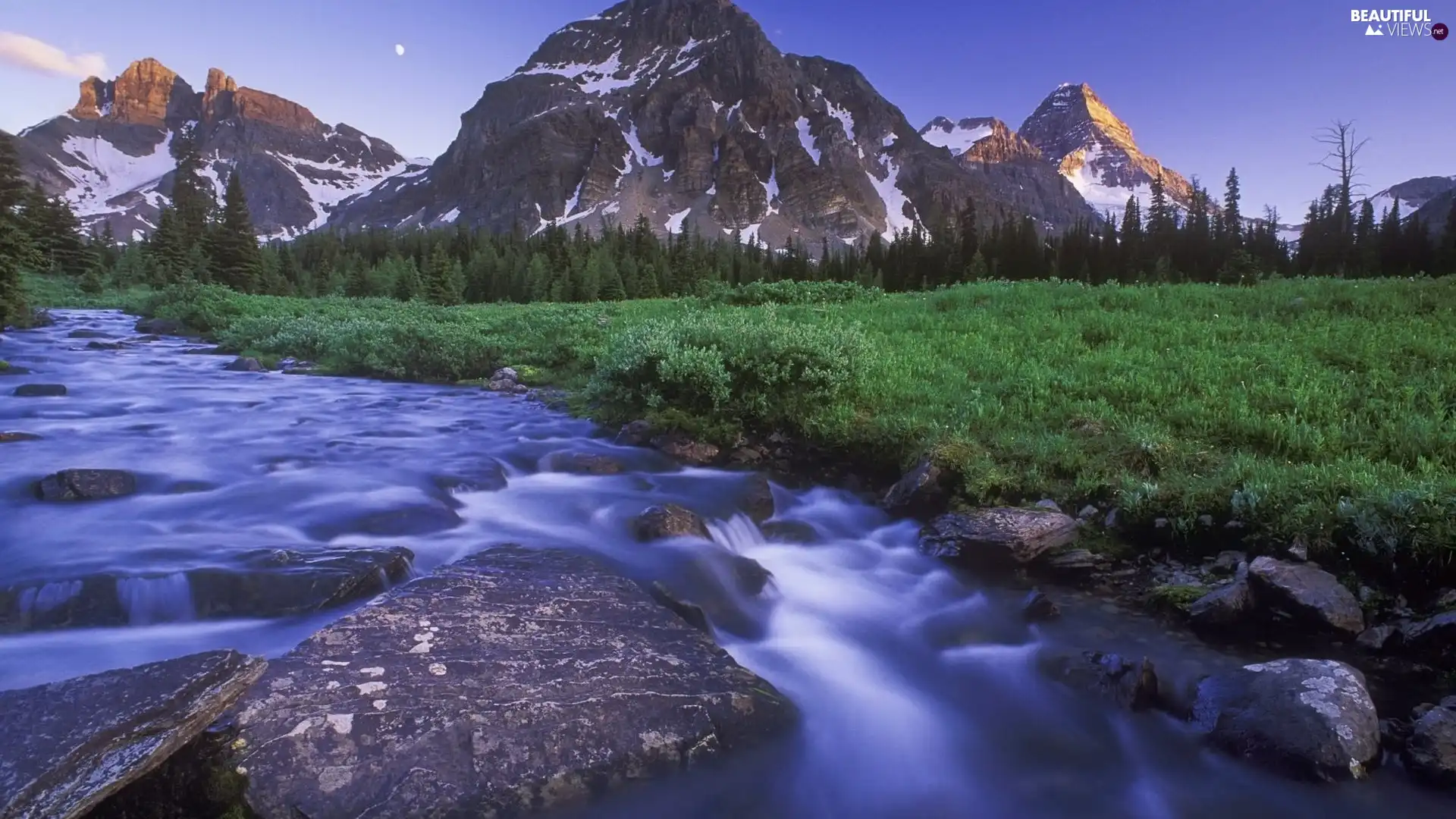 viewes, Mountains, grass, trees, River