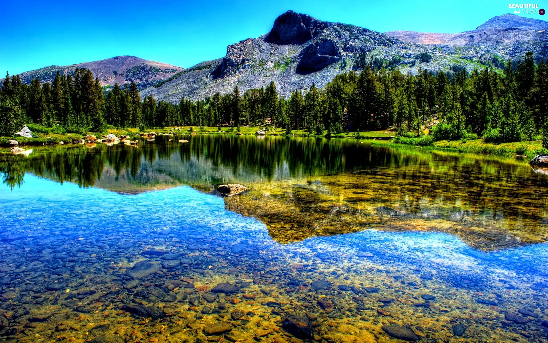 Mountains, trees, viewes, lake