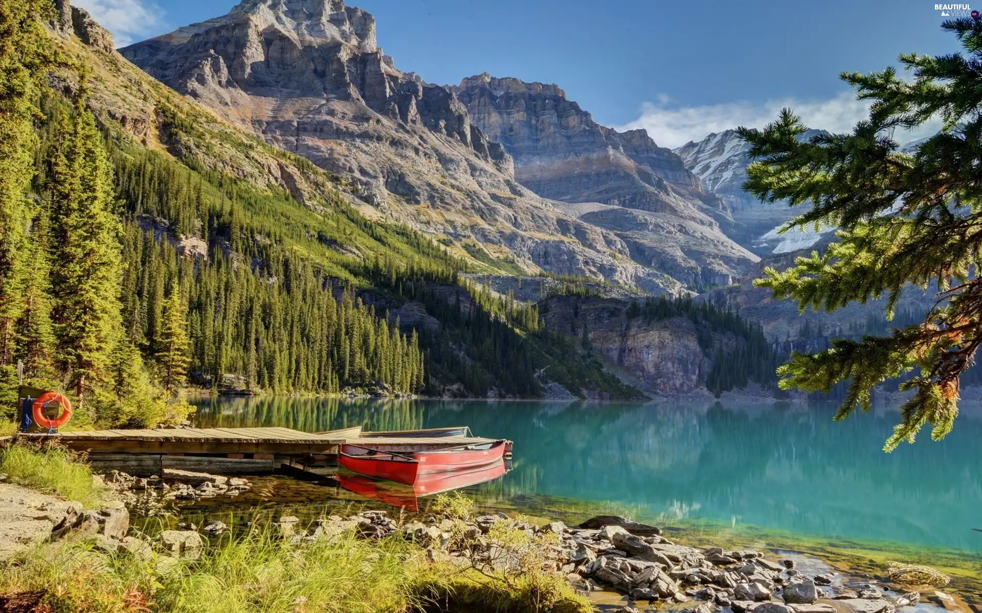 Mountains, trees, viewes, lake