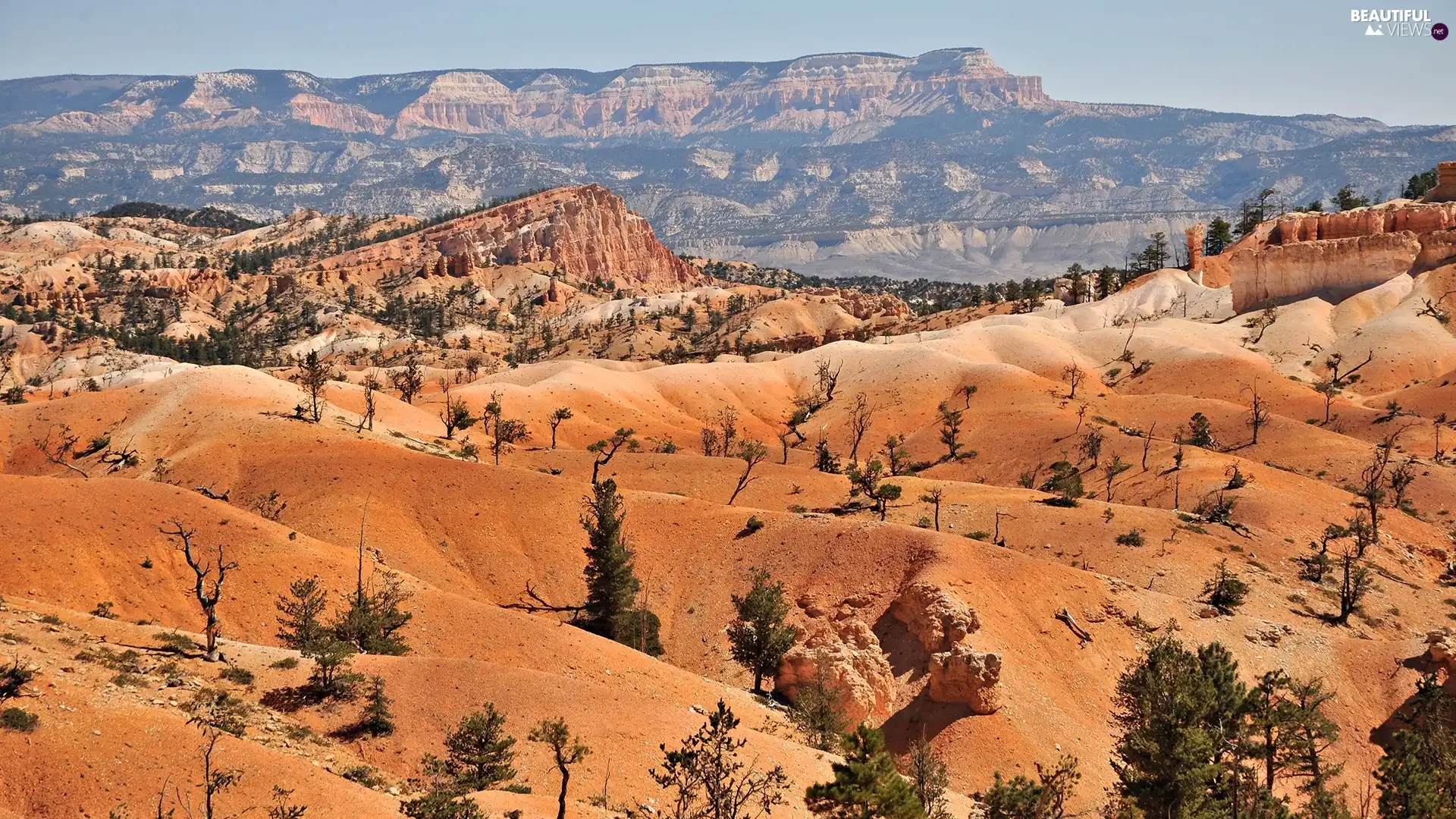 Mountains, trees, viewes, rocks