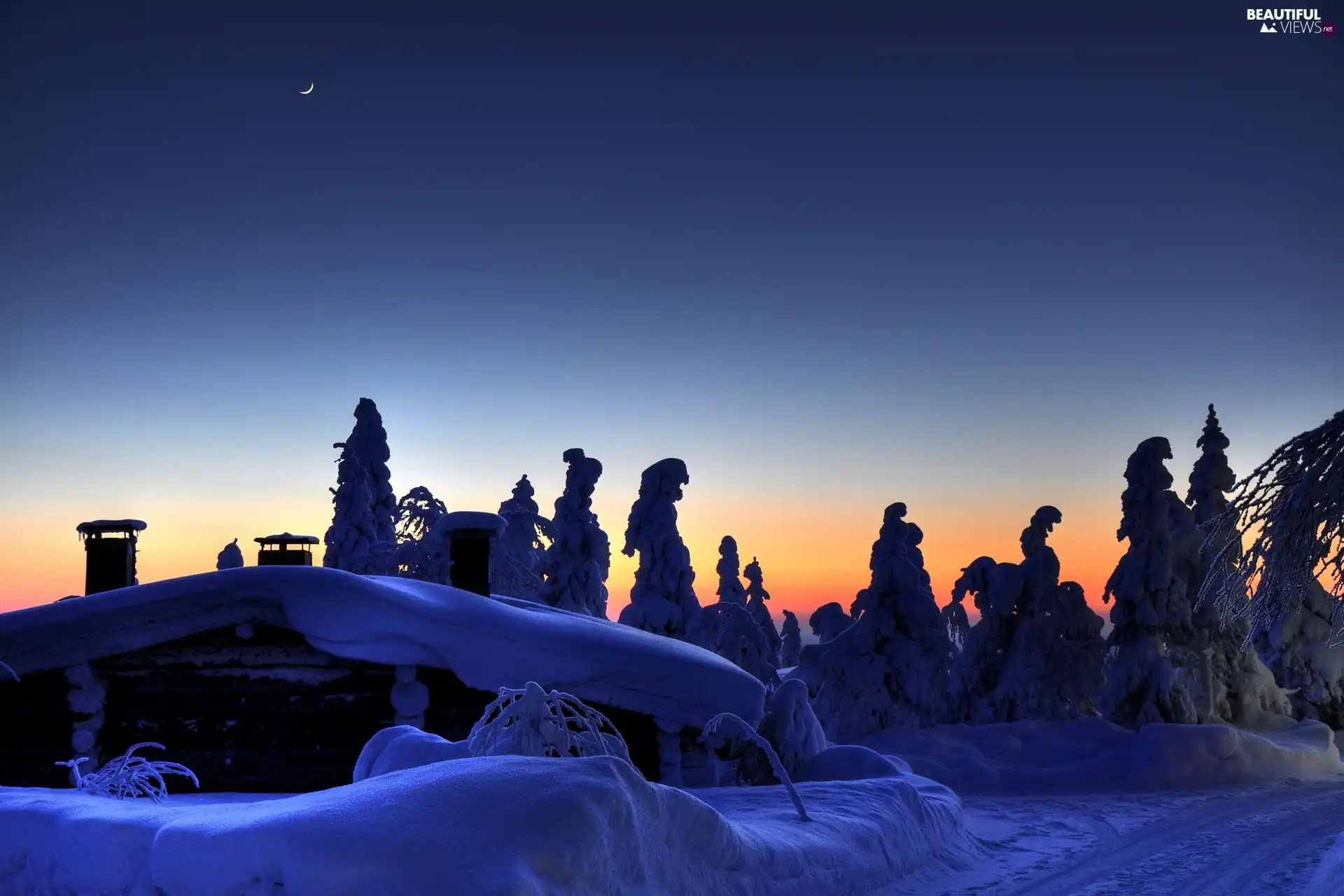 Snowy, winter, viewes, Night, trees, house