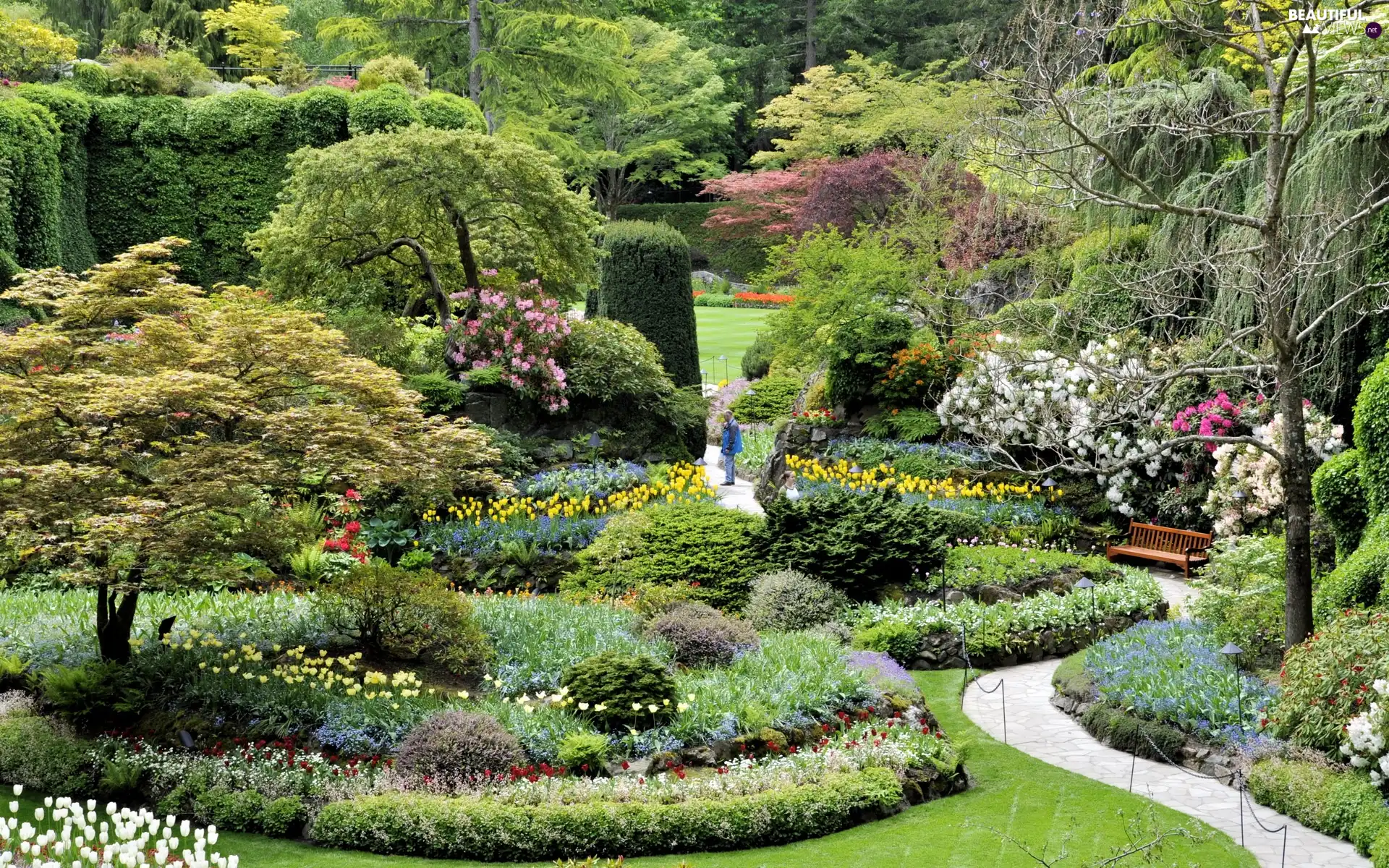 Park, trees, viewes, Flowers