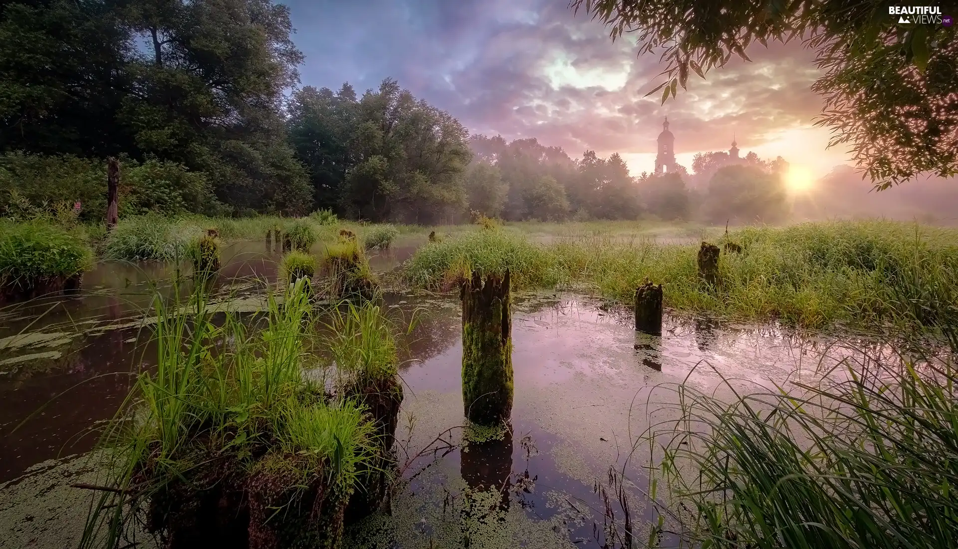 grass, trees, Pins, viewes, River, Sunrise, Cerkiew