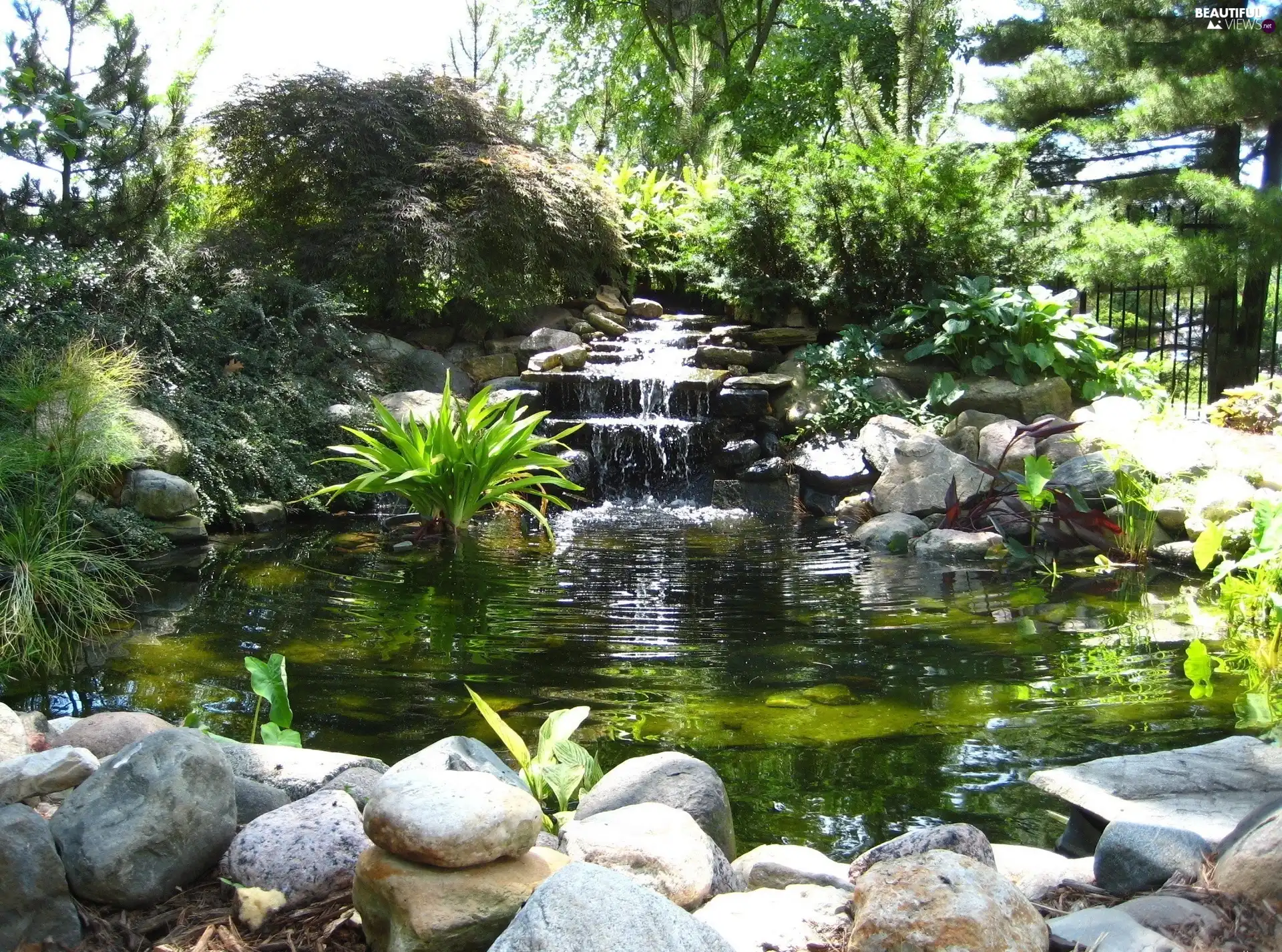 Stones, eye, viewes, Plants, trees, water