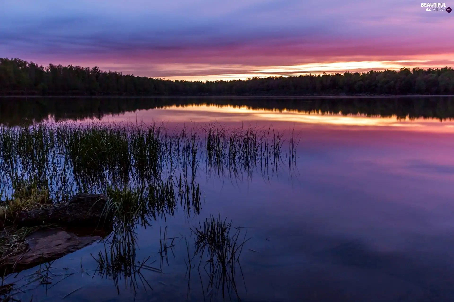 trees, sun, grass, lake, west, viewes, reflection