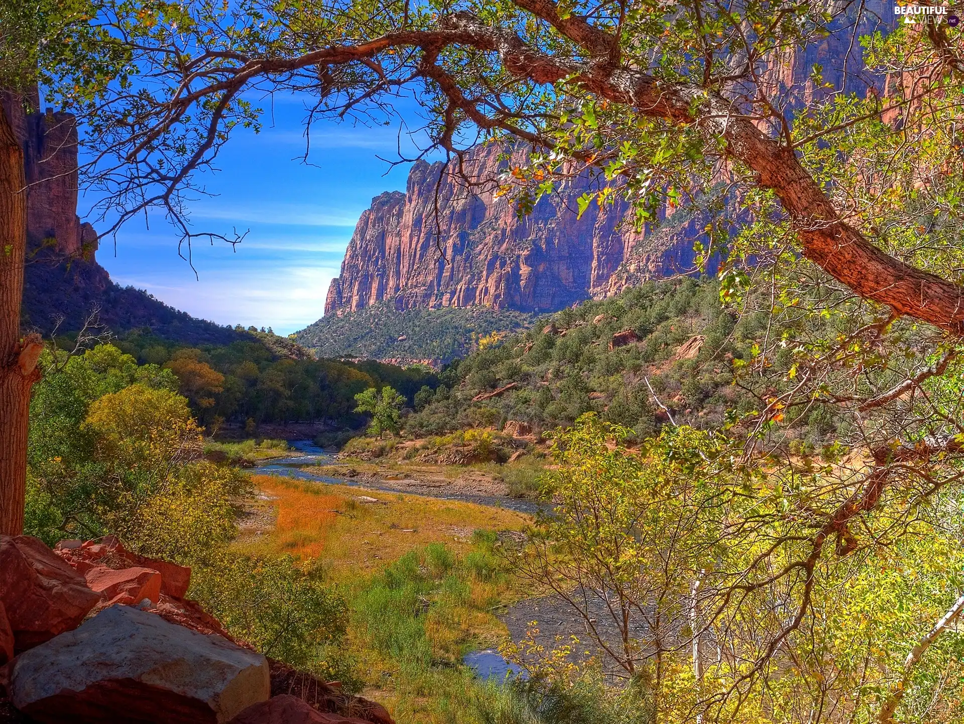 River, trees, viewes, Mountains