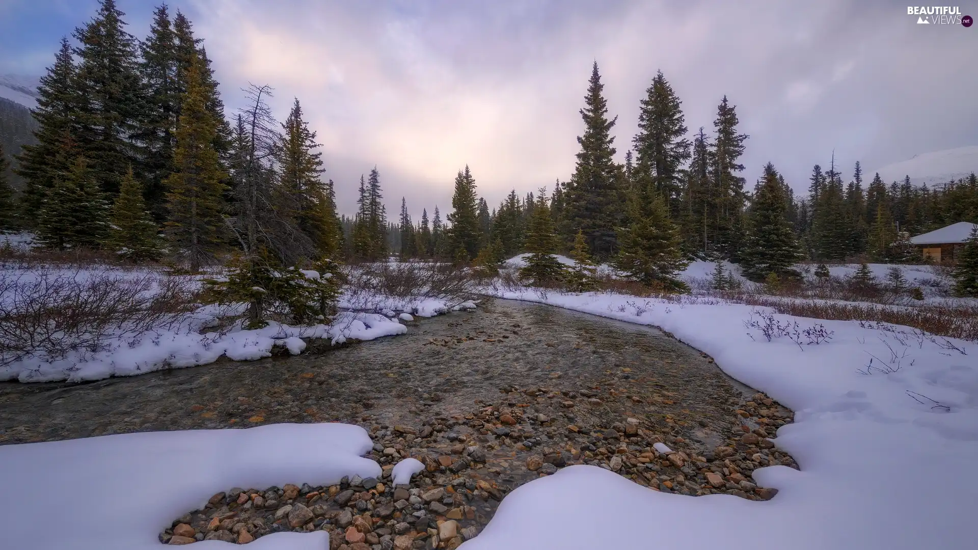 Stones, winter, trees, viewes, forest, River