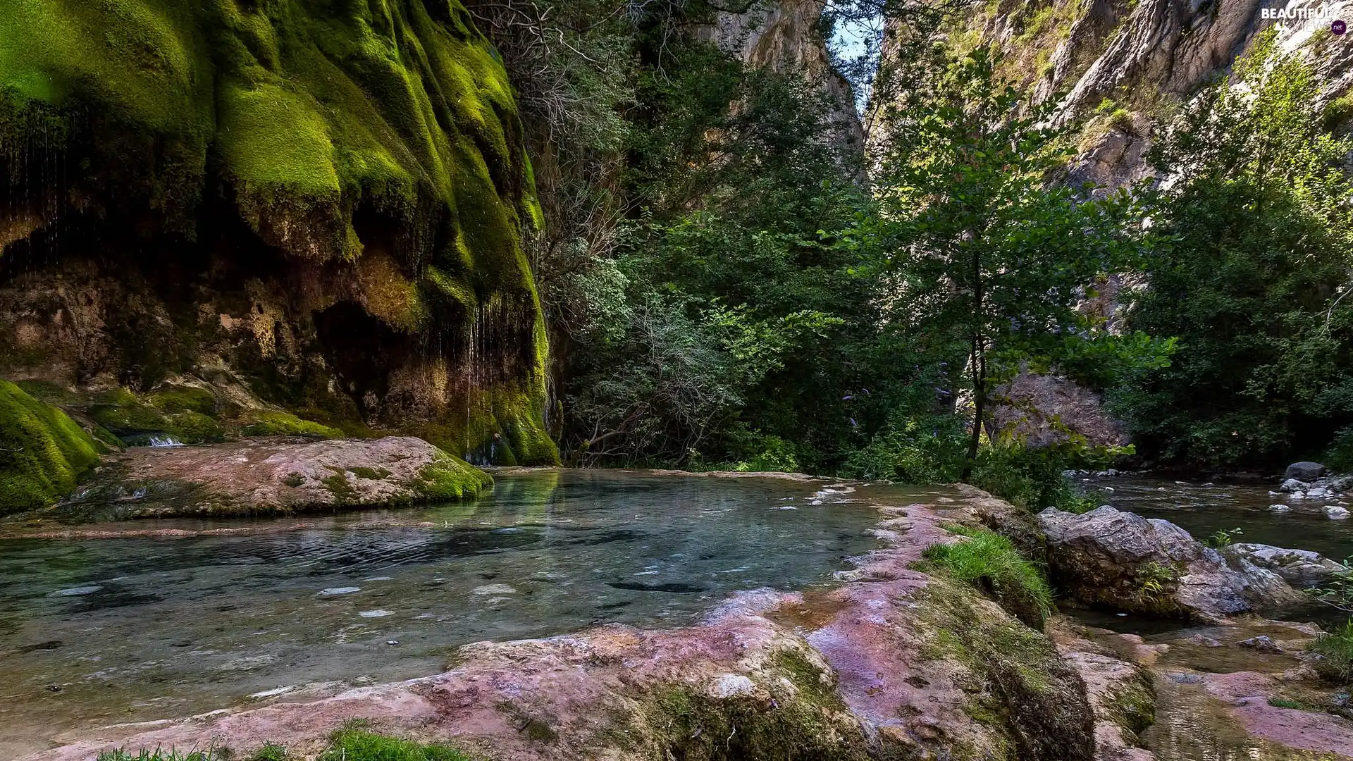 trees, viewes, rocks, River, mossy