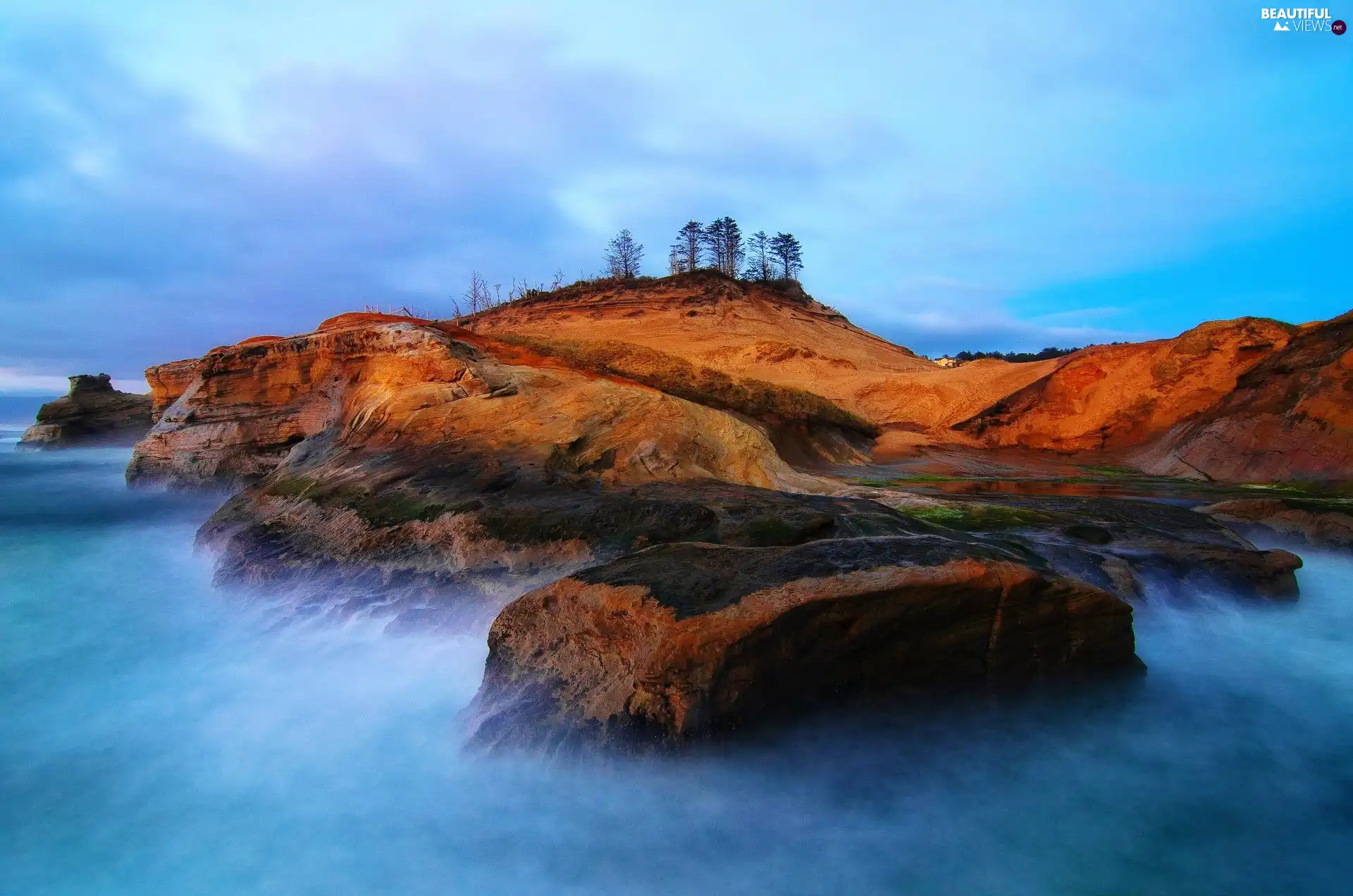 rocks, trees, viewes, sea