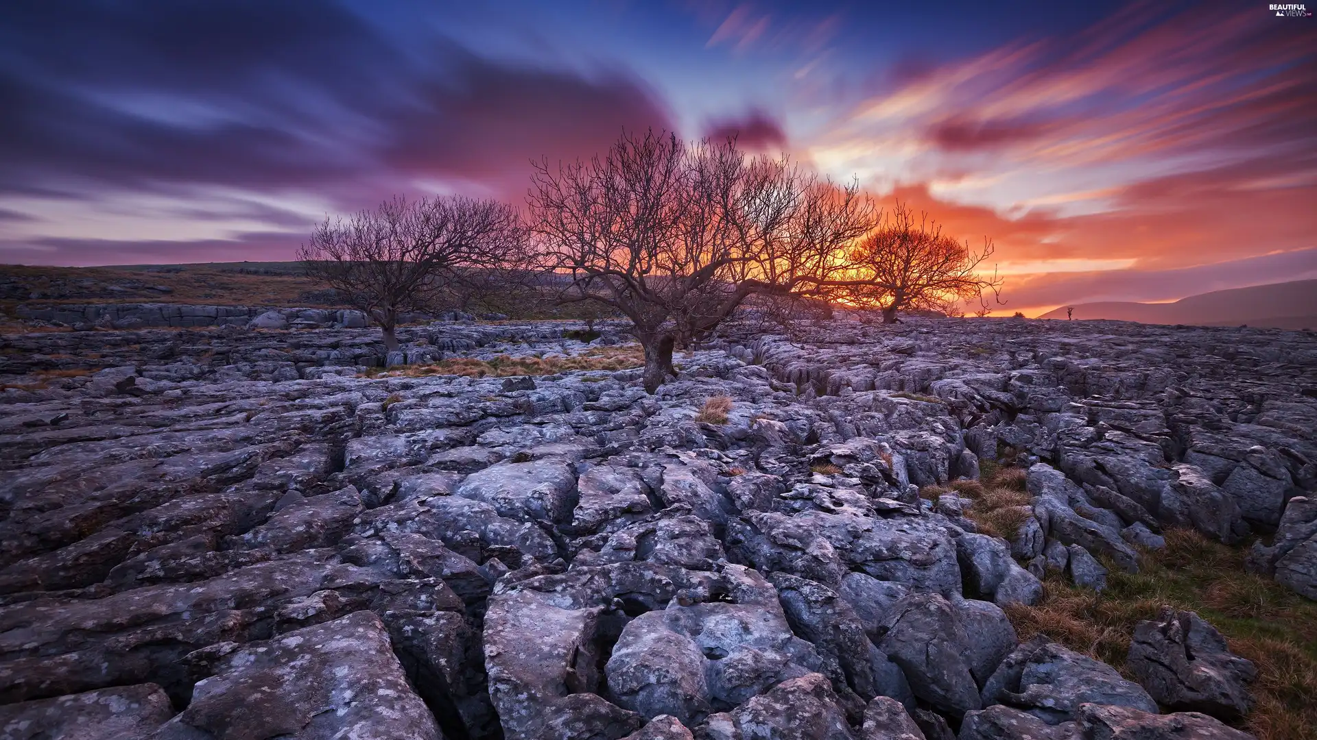 viewes, rocks, sun, trees, west