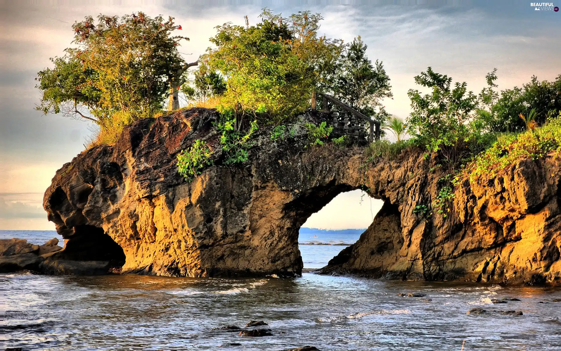 sea, trees, viewes, rocks