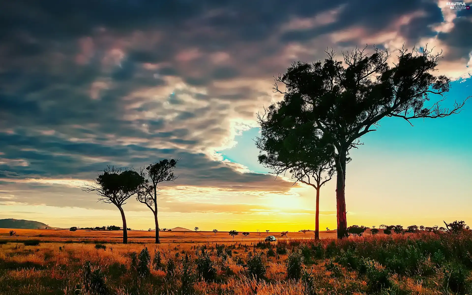 Sky, trees, viewes, clouds