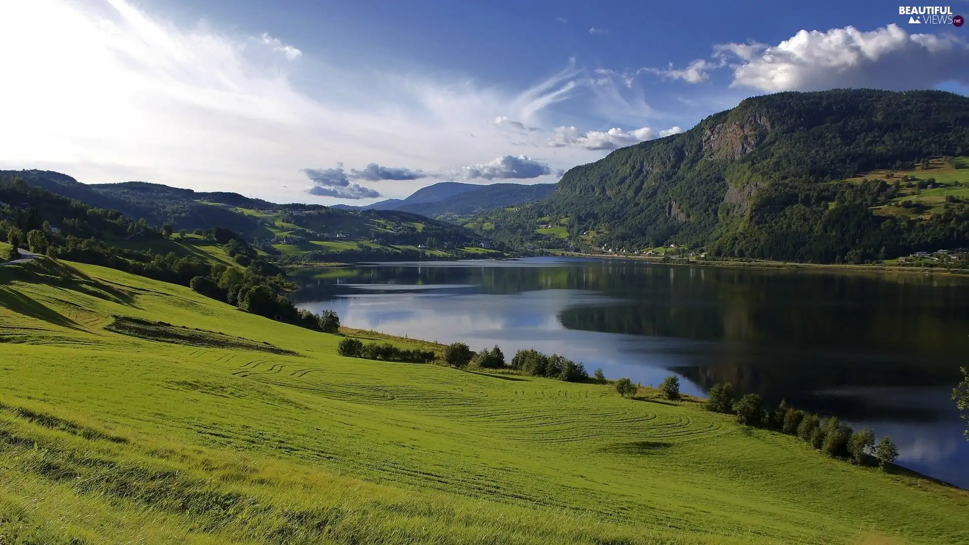 grass, lake, viewes, Sky, trees, Field