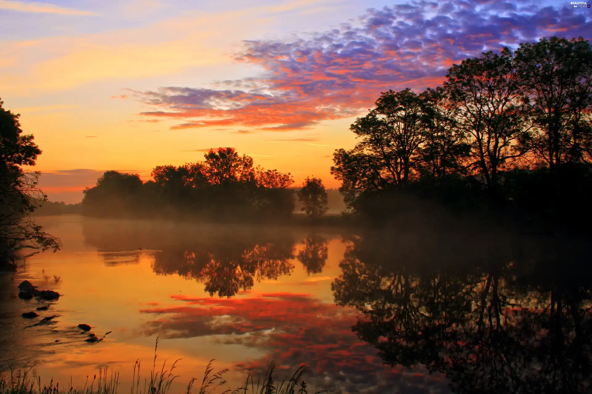 Sky, trees, viewes, water