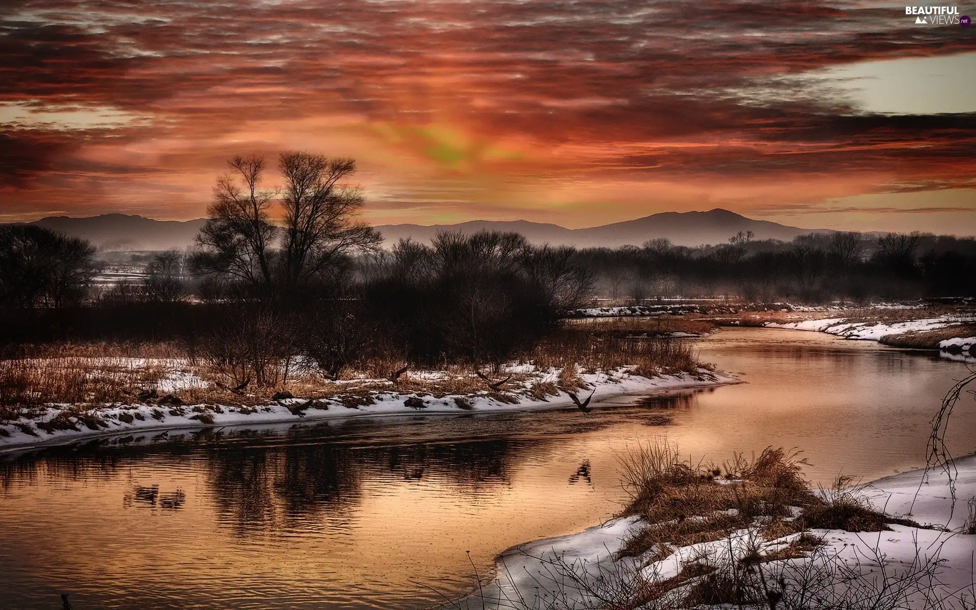 viewes, Sky, snow, trees, water