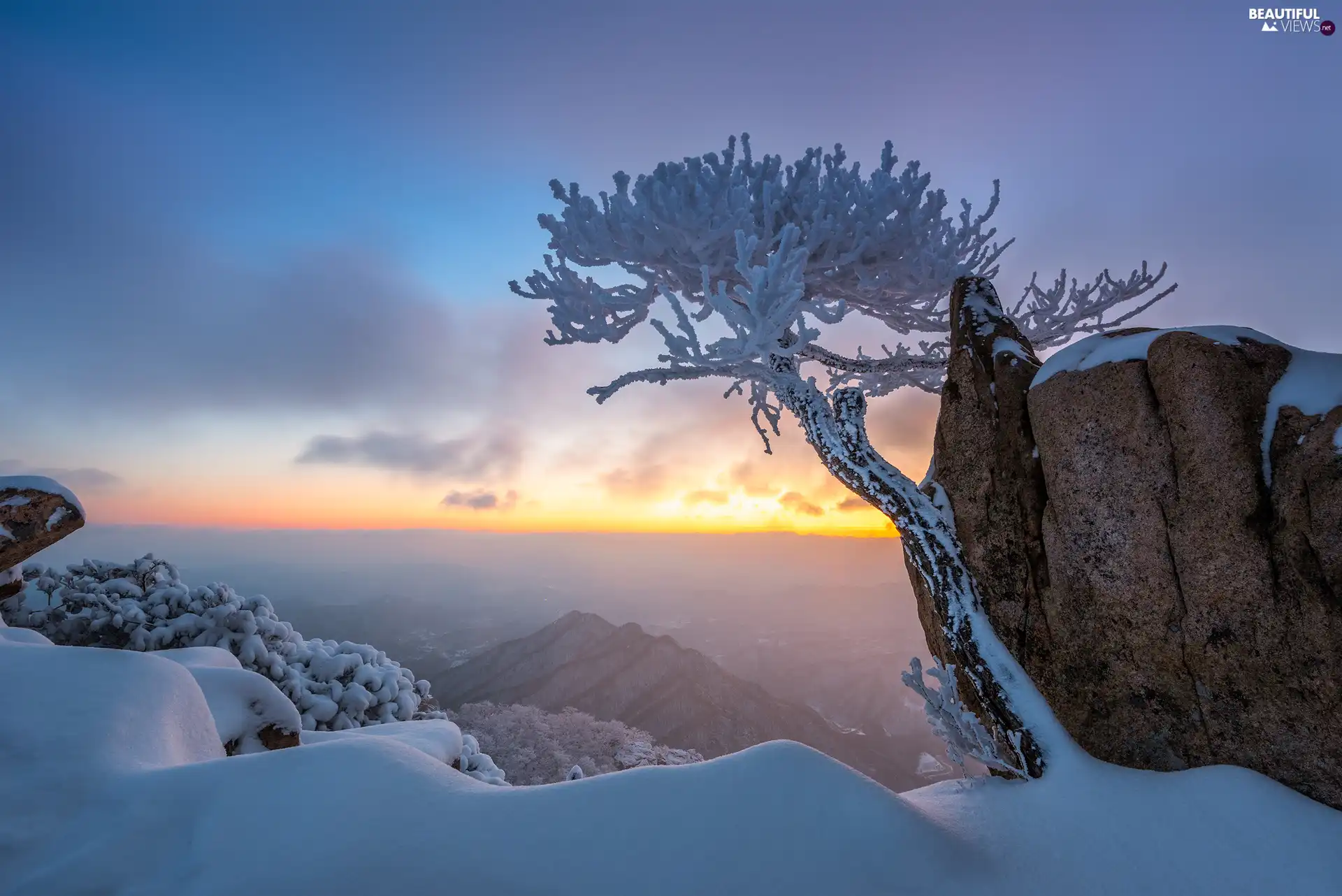 rocks, trees, Snowy, viewes, winter, Mountains, trees