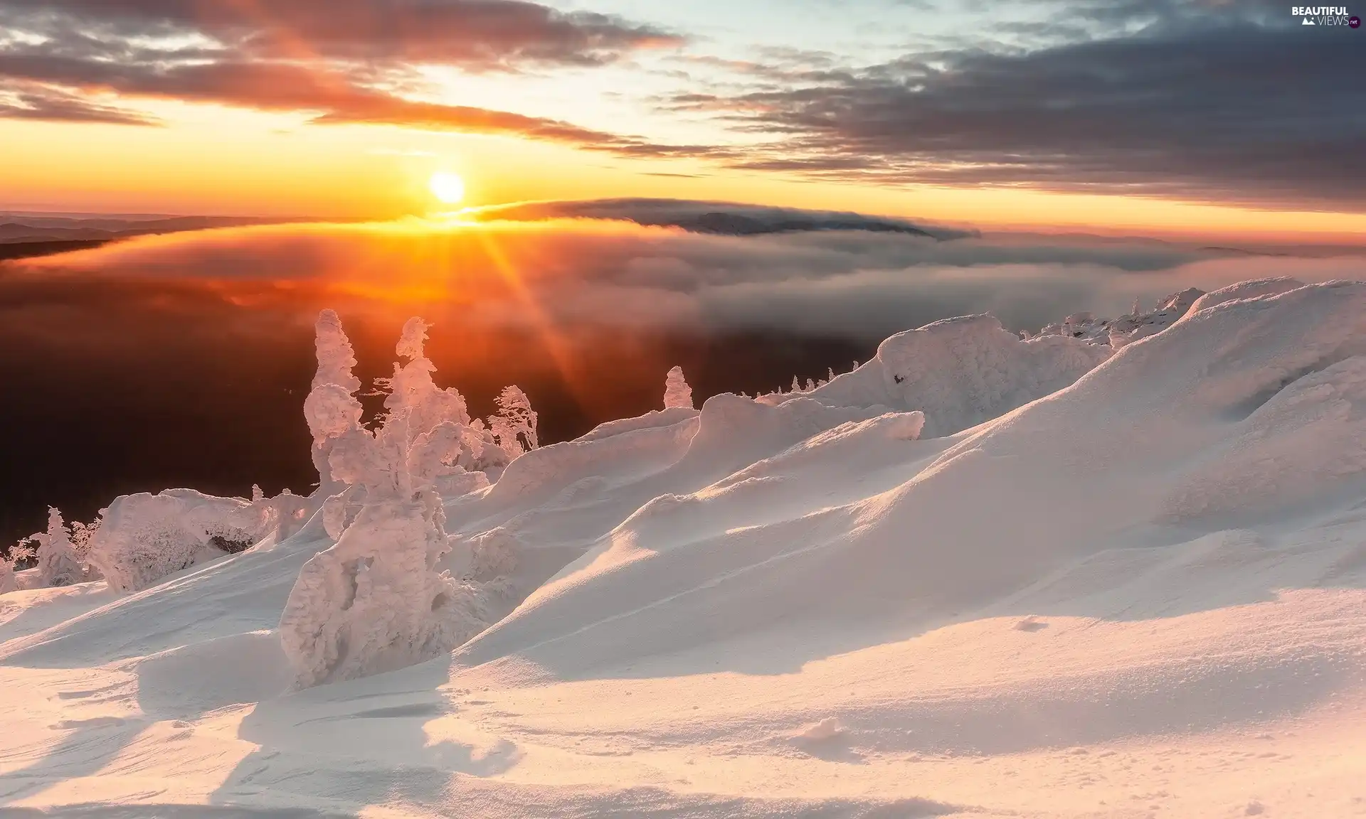 viewes, winter, rays of the Sun, Sunrise, Mountains, trees