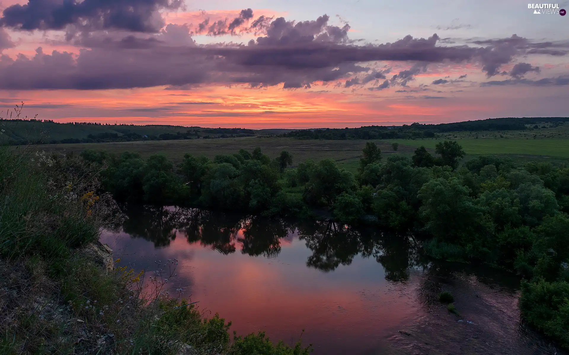 Bush, trees, Sunrise, viewes, River, plain, clouds