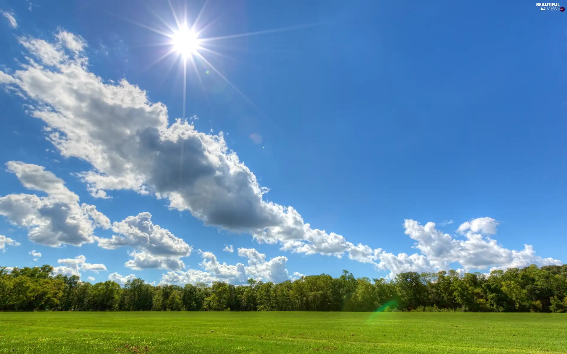 clouds, rays of the Sun, trees, viewes, Meadow