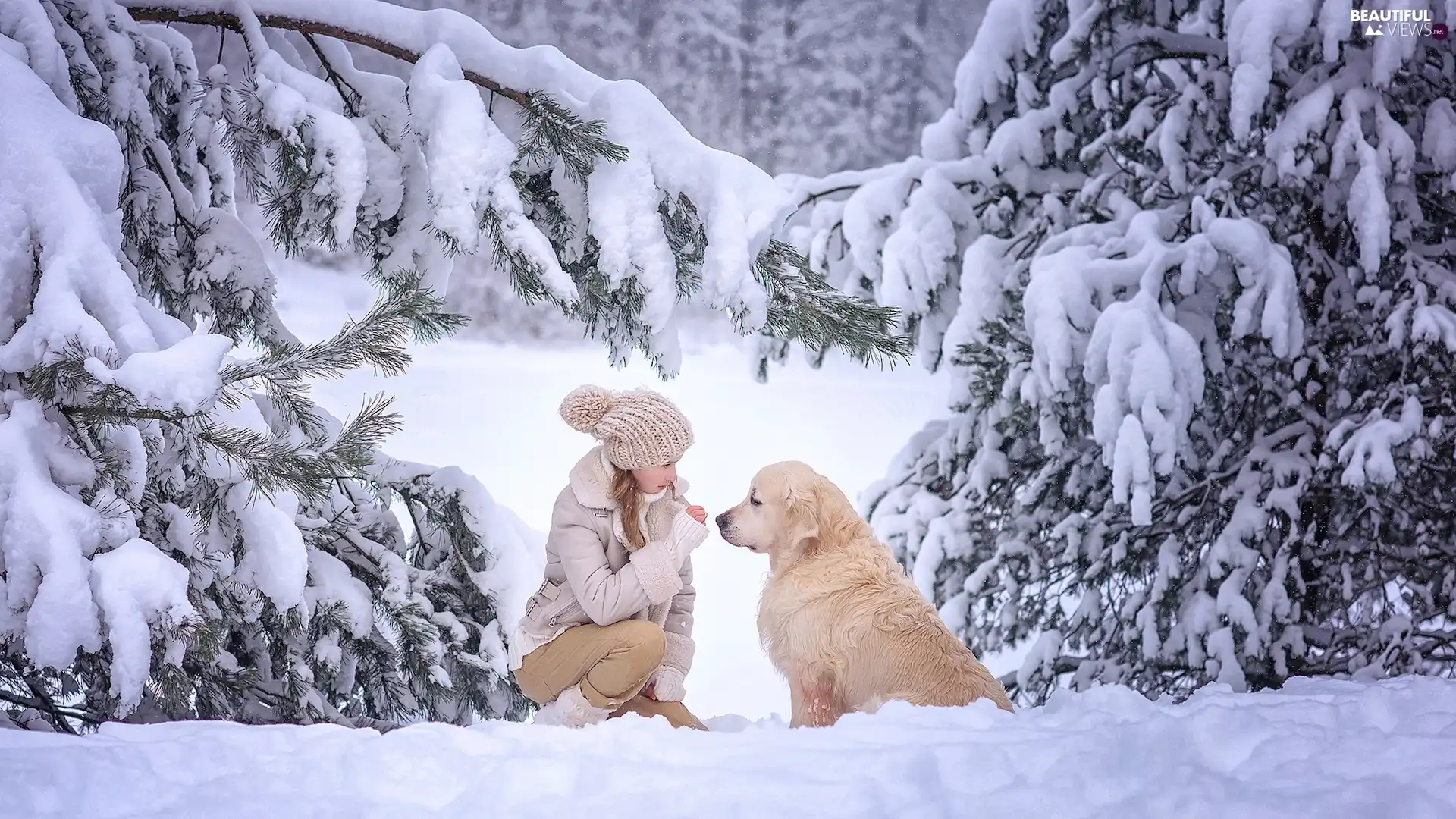 winter, dog, trees, Golden Retriever, girl, Snowy, viewes