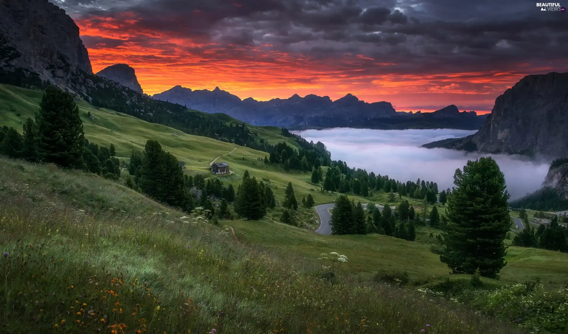 Way, Fog, trees, Hill, Mountains, Great Sunsets, viewes