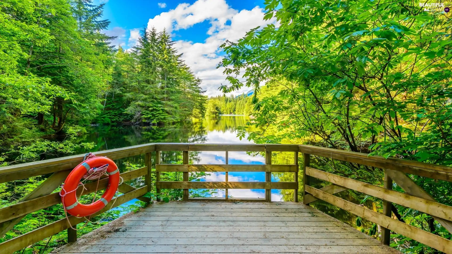 lifebuoy, lake, trees, viewes, forest, Observation Deck