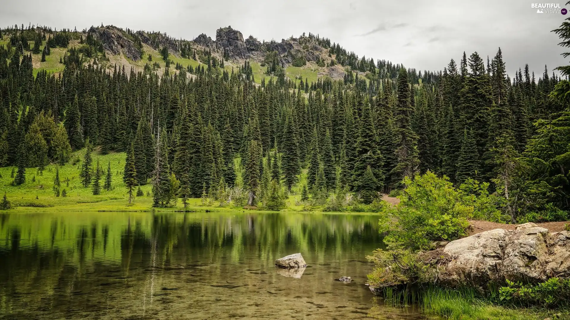 rocks, lake, trees, viewes, forest, The Hills