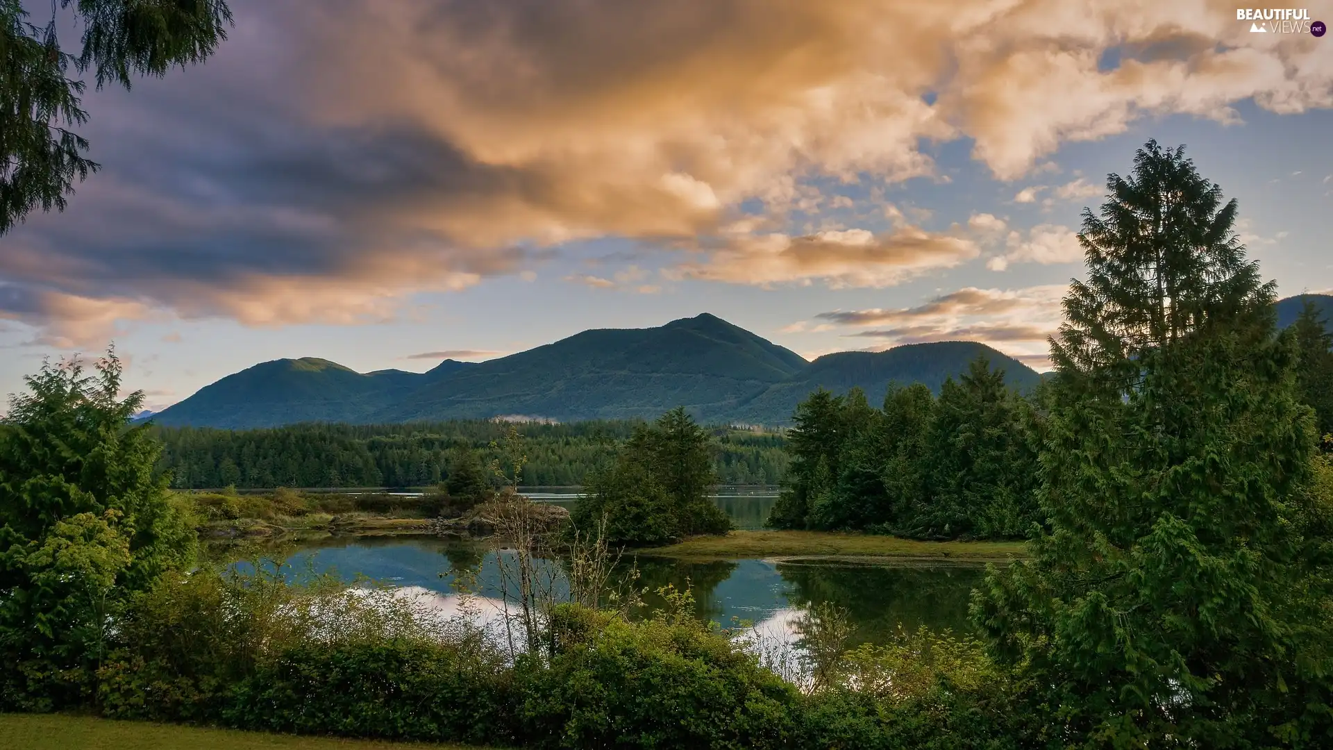 clouds, Mountains, trees, viewes, green ones, lake