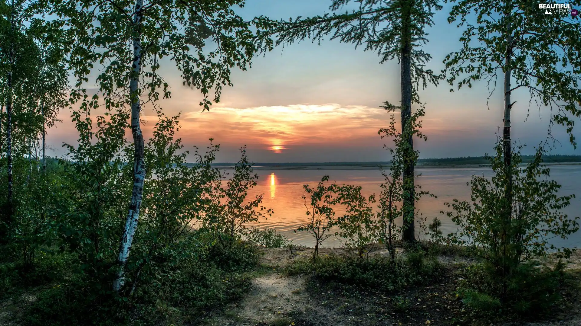 Sky, Great Sunsets, viewes, lake, trees